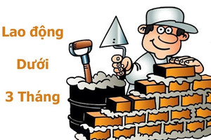 Lao động ngắn hạn có phải kê khai thuế thu nhập cá nhân?