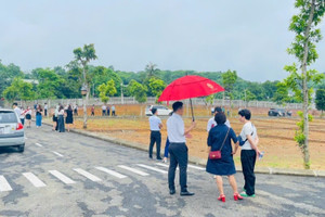 Cò đất sắp hết cửa bát nháo, thổi giá ăn chênh?