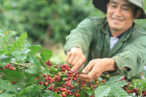 Một năm trúng đậm chưa từng có, hàng chục nghìn 'nông dân thành tỷ phú'