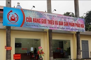 Nơi sản xuất pháo hoa duy nhất tại Việt Nam ở đâu?