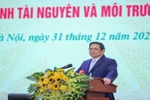 'Chuyển đổi 10ha đất lúa, rừng mà phải trình lên đến Thủ tướng, rất rườm rà'