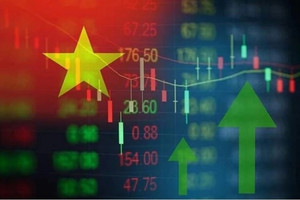 Cổ phiếu đáng chú ý phiên giao dịch đầu năm 2024:  NKG, FMC, QTP