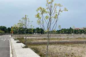 ‘Phiên chợ’ đấu giá đất 2023: Nơi rầm rộ chốt lô, nơi ế ẩm bỏ cọc tiền tỷ