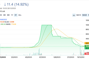 Cổ phiếu từng sắp 'cán' mức giá 1 triệu đồng chính thức hủy đăng ký chứng khoán