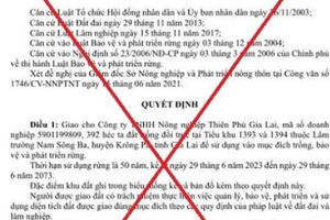 Giả mạo văn bản của Chủ tịch tỉnh Gia Lai giao 392ha đất rừng cho doanh nghiệp