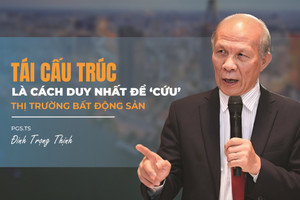 PGS.TS. Đinh Trọng Thịnh: Doanh nghiệp chịu hạ giá bán, tái cấu trúc sẽ ‘cứu’ được thị trường bất động sản