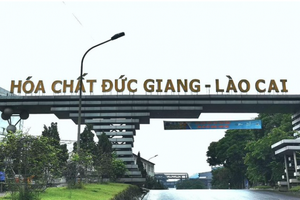 Vụ Lilama khai thác trái phép 1,3 triệu tấn quặng: Yêu cầu làm rõ về Hóa chất Đức Giang Lào Cai