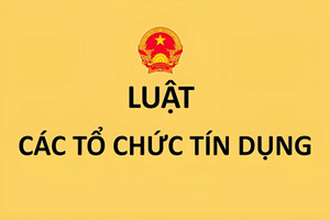 Luật Các tổ chức tín dụng (sửa đổi) tác động đến các ngân hàng niêm yết ra sao?