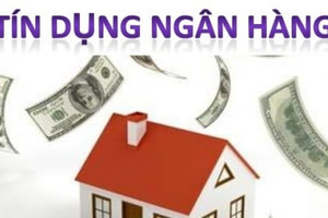 Ngân hàng được kinh doanh bất động sản trong trường hợp nào theo quy định mới nhất 2024?