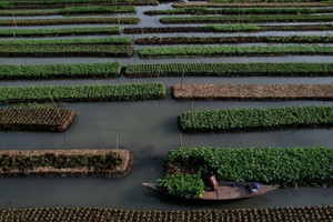 ‘Trang trại nổi’ 400 năm tuổi làm bằng bè kết từ xơ lục bình, được coi là vườn nổi chống lũ lụt hiệu quả