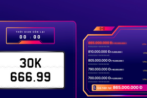 Đấu giá biển số sáng 1/2: Biển 30K-666.99 giá cao nhất 865 triệu đồng