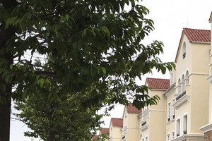 Hồi sinh dự án 'đắp chiếu' 10 năm, tăng trưởng Sudico bật tăng gấp 17 lần