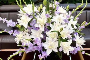 Cách cắm hoa lay ơn bền đẹp, 'bung lụa' tận ngọn đón Tết của 8X Hải Phòng