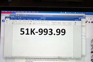 Đấu giá biển số chiều 2/2: Biển 30K-636.36 trúng giá 550 triệu đồng