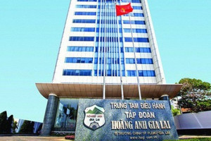 DIC Holdings, HAGL, Nam Long (NLG) đóng phạt ngày cuối năm