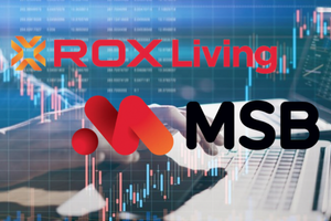 Giao dịch 'chui' cổ phiếu MSB, ROX Living bị phạt gần 3 tỷ đồng, đình chỉ giao dịch