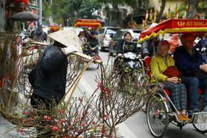 'Sức mạnh ma thuật' ở khu phố lặng lẽ của Hà Nội khiến ai cũng thấy trái tim trẻ lại