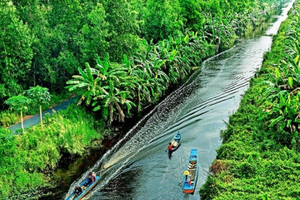 Dòng sông dài hơn 40km cắt đôi khu rừng 2.000km2 của Việt Nam được xếp loại quý hiếm trên thế giới