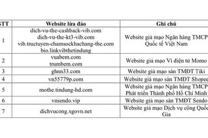 Cảnh báo một số website giả mạo, lừa đảo người dùng Internet cần tránh