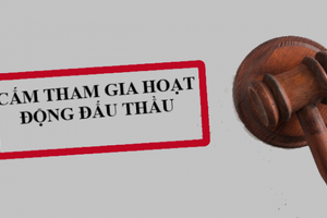 Một doanh nghiệp tại Kon Tum bị phạt và cấm tham gia đấu thầu trong 4 năm