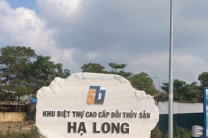 Ngân hàng rao bán loạt biệt thự, giá khởi điểm từ hơn 2,5 tỷ đồng