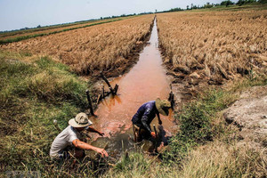 Chủ động ứng phó với xâm nhập mặn tại ĐBSCL