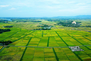 Toàn văn : Luật đất đai