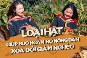 Loại hạt giúp 600 ngàn hộ nông dân xóa đói giảm nghèo và chuyện khởi nghiệp khi 'ông lớn đã chia phần' của một thương hiệu cà phê lạ