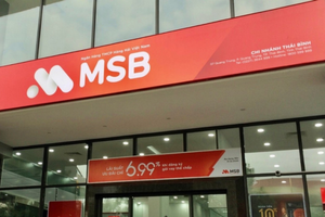 MSB chốt lịch tham dự ĐHĐCĐ năm 2024