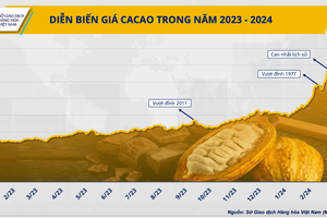 Thị trường ca cao thế giới đang tạo nên bước ngoặt mới