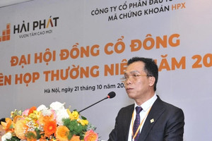 Đại gia bất động sản sụt mạnh số cổ phiếu nắm giữ, thù lao chỉ còn một nửa