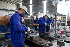 Việt Nam-New Zealand: Hợp tác kinh tế - thương mại không ngừng phát triển