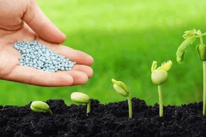 Trả lương nhân viên 44 triệu/tháng, doanh nghiệp phân bón lớn nhất sàn chứng khoán kinh doanh ra sao?