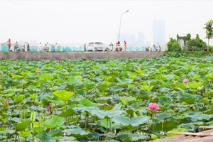 Khu vực được ‘săn đón’ nhất Thủ đô lên kế hoạch cho thuê 35.000m2 đất