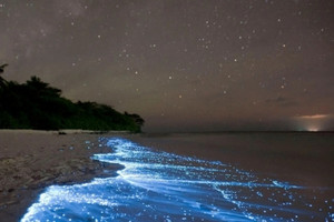 Bãi biển phát sáng như những vì sao giữa 'thiên đường hạ giới' Maldives, khiến du khách như lạc vào vùng trời trong dải ngân hà