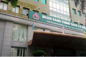 Ngân hàng Chính sách xã hội thông báo tuyển 55 chỉ tiêu, chiều cao, cân nặng đều 'cần'