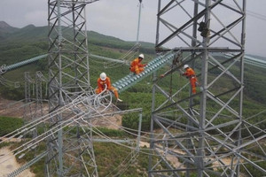 Chính phủ chính thức cho phép tạm sử dụng đất rừng để làm đường dây 500kV