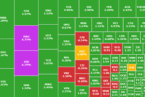 Cổ phiếu VIB, MWG, TCB bứt phá, VN-Index tăng gần 18 điểm