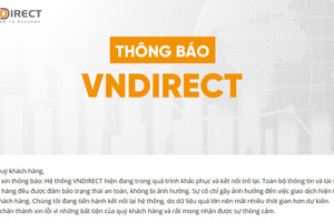 CEO Bkav: VNDIRECT bị hacker xâm nhập vào hệ thống và mã hóa dữ liệu