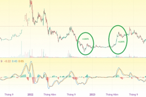 Doanh nghiệp BĐS KCN phía Nam 12 năm không chia cổ tức, cổ phiếu hễ nổi sóng là tăng 50-200%