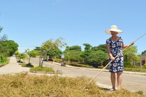 Hòn đảo cách bờ biển miền Trung gần 30km trồng loại cỏ thần kỳ nhưng là thuốc quý, được mệnh danh cây trường thọ