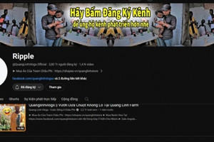 Sau Độ Mixi, kênh YouTube gần 4 triệu lượt theo dõi của Quang Linh Vlog cũng bị đánh sập: Chuyện gì đang xảy ra?