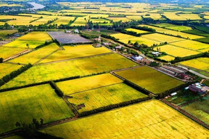 Việt Nam khánh thành nhà máy gạo lớn nhất châu Á, 'tọa lạc' tại trung tâm vùng sản xuất lúa ĐBSCL