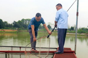 Người đàn ông nhận 'kho báu' dưới đầm hoang nhờ quyết định năm 30 tuổi