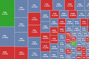 160 cổ phiếu nằm sàn, VN-Index có phiên giảm mạnh nhất 2 năm