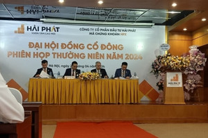 Cổ đông Hải Phát Invest (HPX) lo ngại với mục tiêu kinh doanh năm 2024