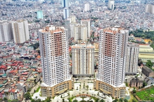 Bất động sản nửa cuối 2024: ‘Căn hộ chung cư tiếp tục dẫn dắt thị trường’