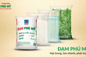 Đạm Phú Mỹ (DPM) mang 6.400 tỷ đồng đi gửi ngân hàng, LNST quý I/2024 đạt 268 tỷ đồng