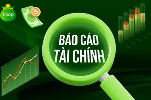 Cập nhật BCTC quý I/2024: QCG, GVR, DPM, SIP, DGW, KDC, DIG... công bố KQKD