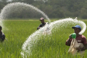 KQKD quý I/2024: Nhóm phân bón thắng lớn, một doanh nghiệp lãi tăng hơn 18.000%